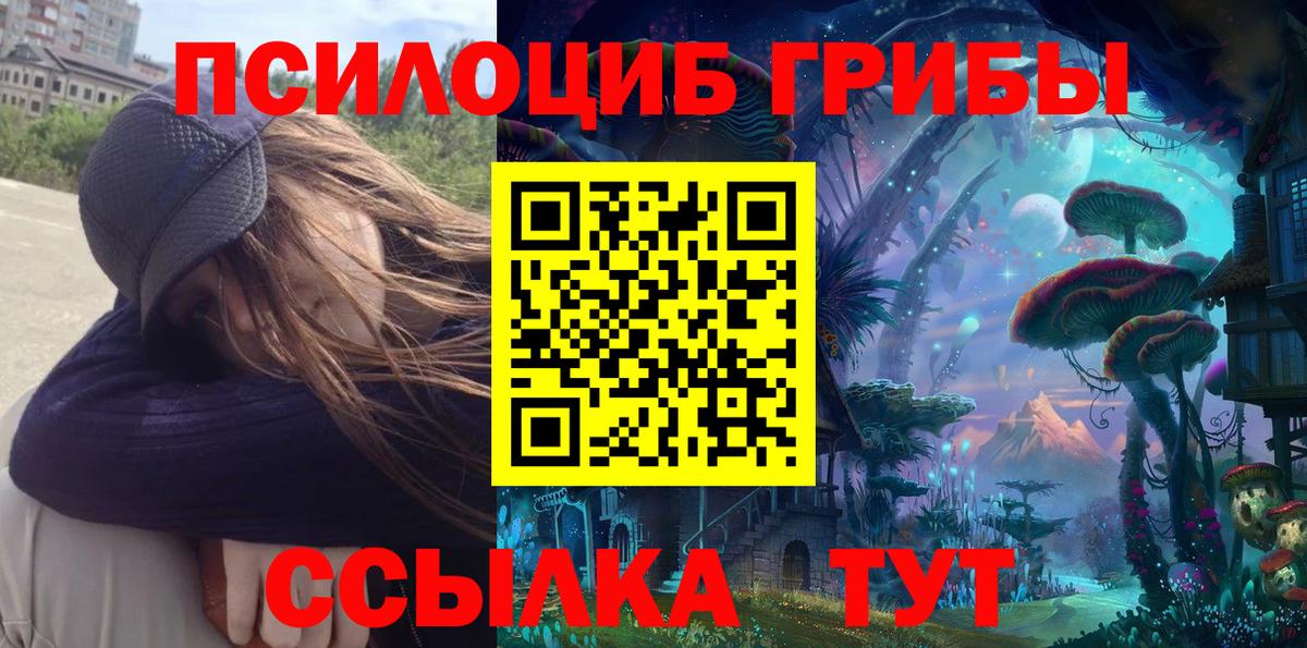 Псилоцибиновые грибы прущие грибы Кыштым